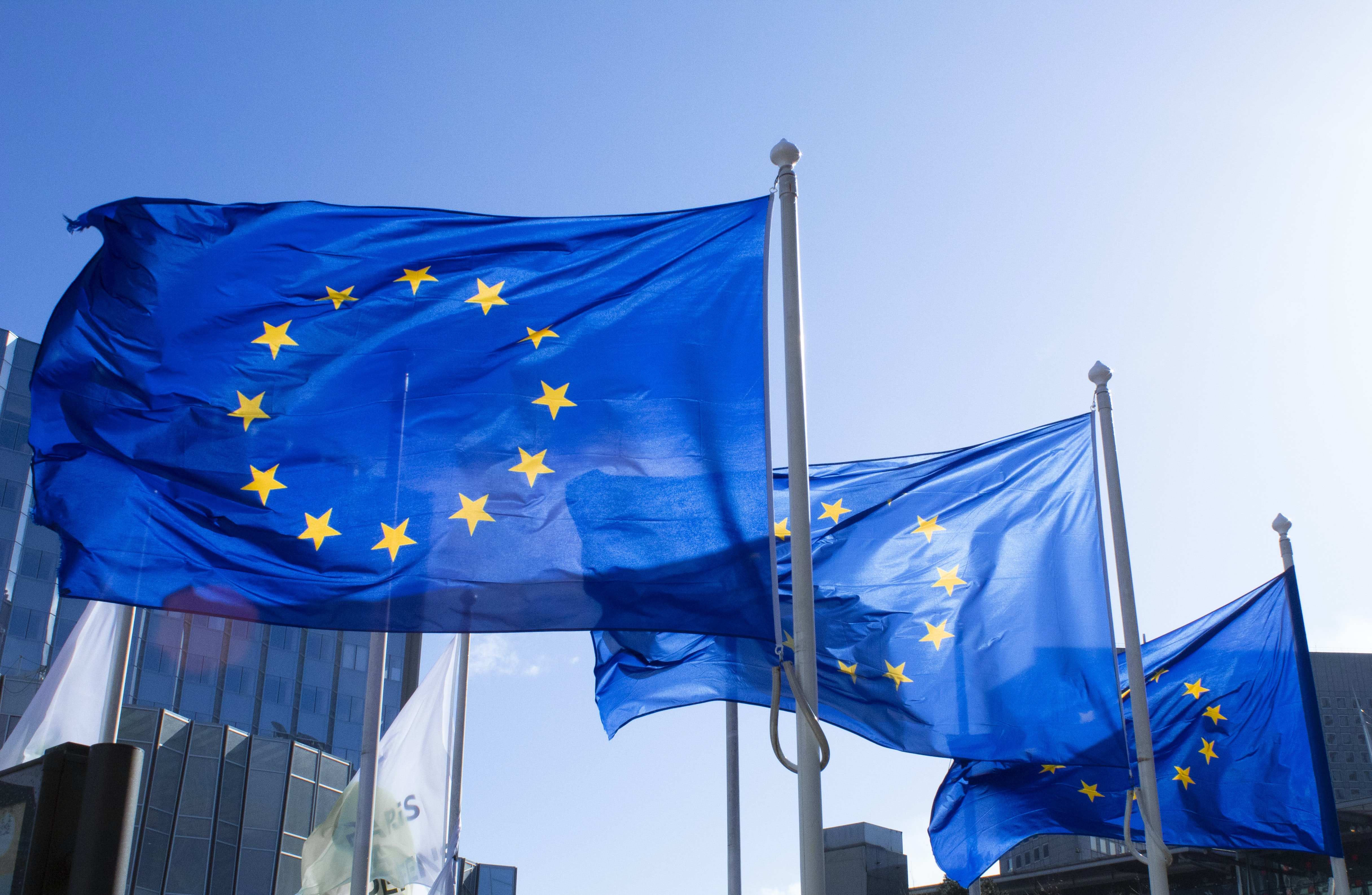 How the EESC wants youth entrepreneurship to boost Europe’s competitiveness